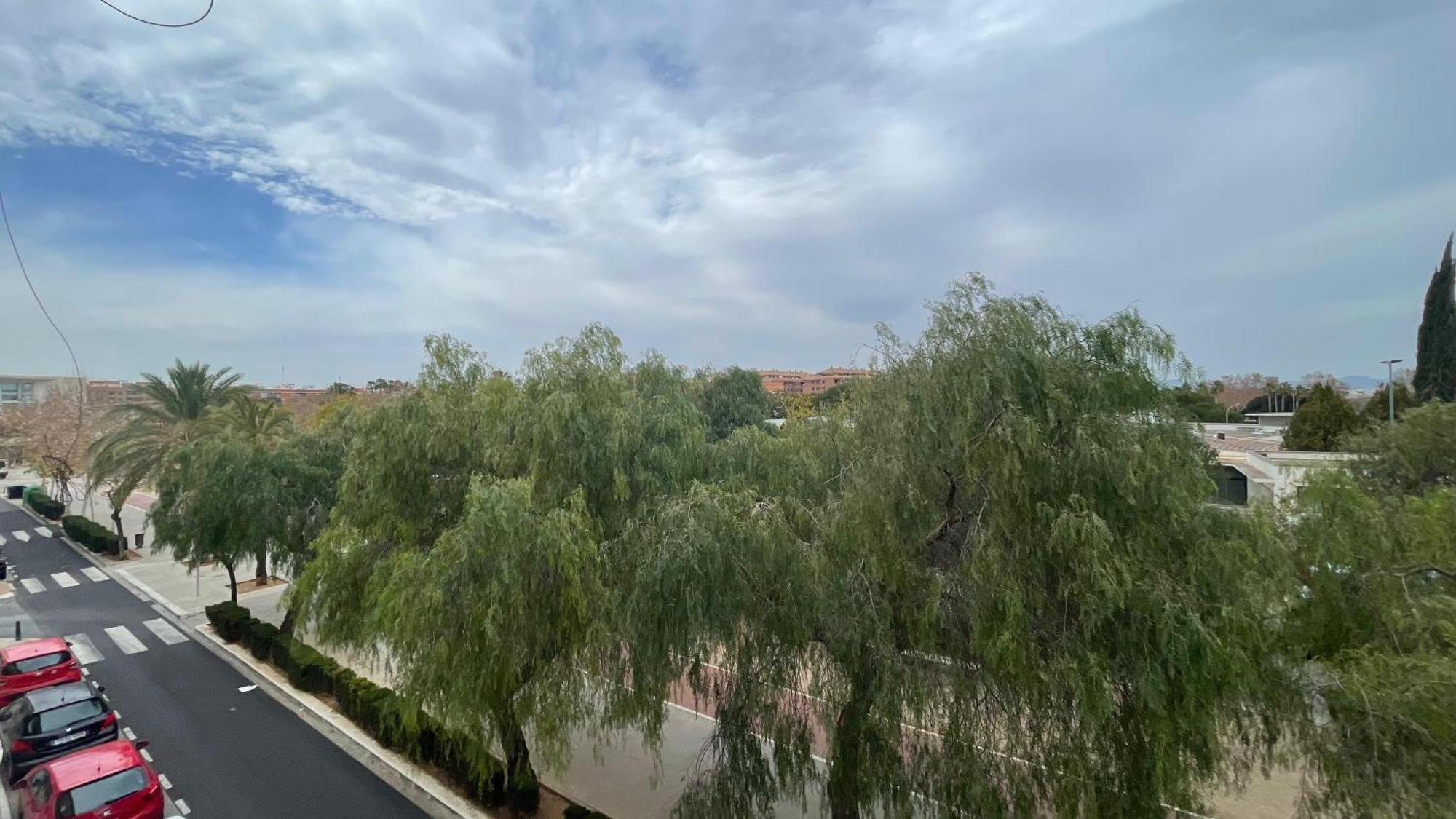 Apartamento El Castell ألكواس المظهر الخارجي الصورة